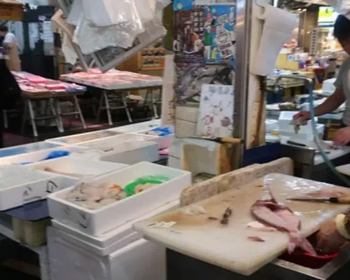 Osaka Food Walking Tour with Market Visit